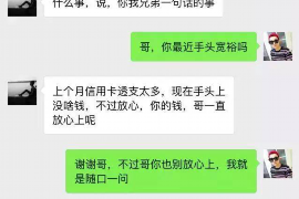 南城南城的要账公司在催收过程中的策略和技巧有哪些？